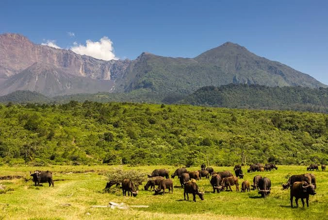 Arusha National Park